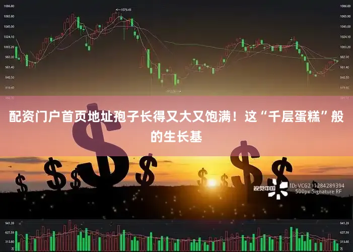 配资门户首页地址孢子长得又大又饱满！这“千层蛋糕”般的生长基